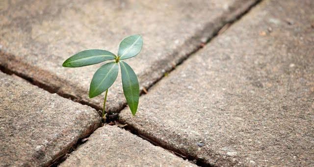 Illustration accompagnant « Les vents contraires — N°7. L’espoir et le désespoir » dans sa publication Facebook.